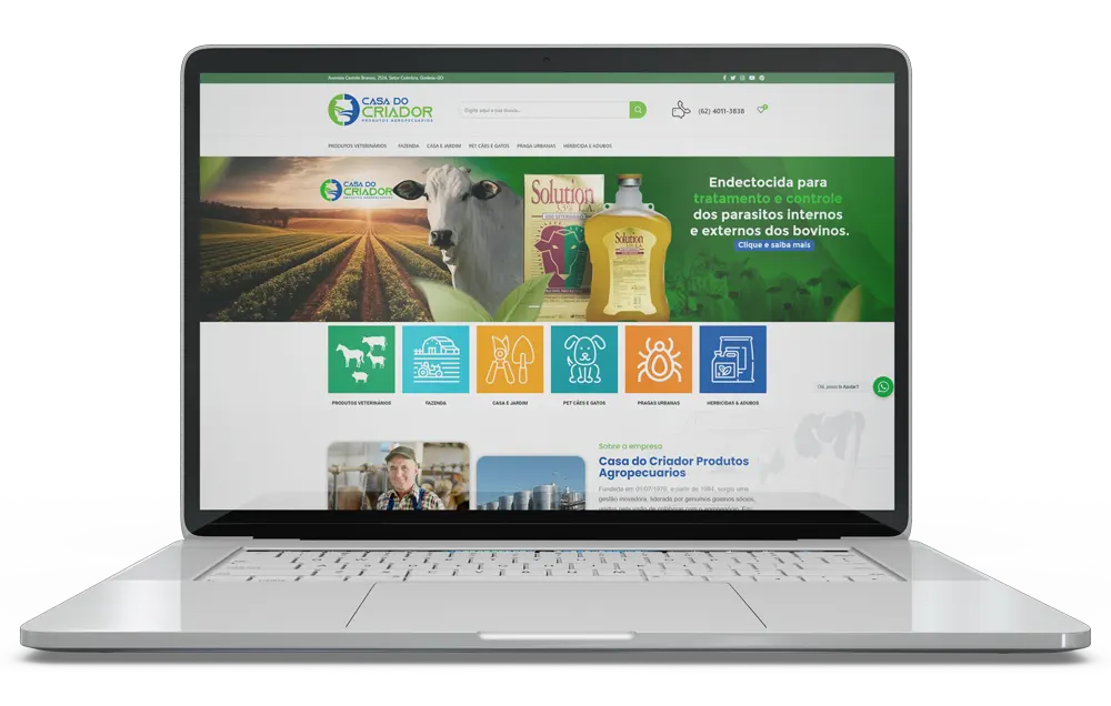 Portfólio 1 Net Publicidade Criação de Sites em Goiânia