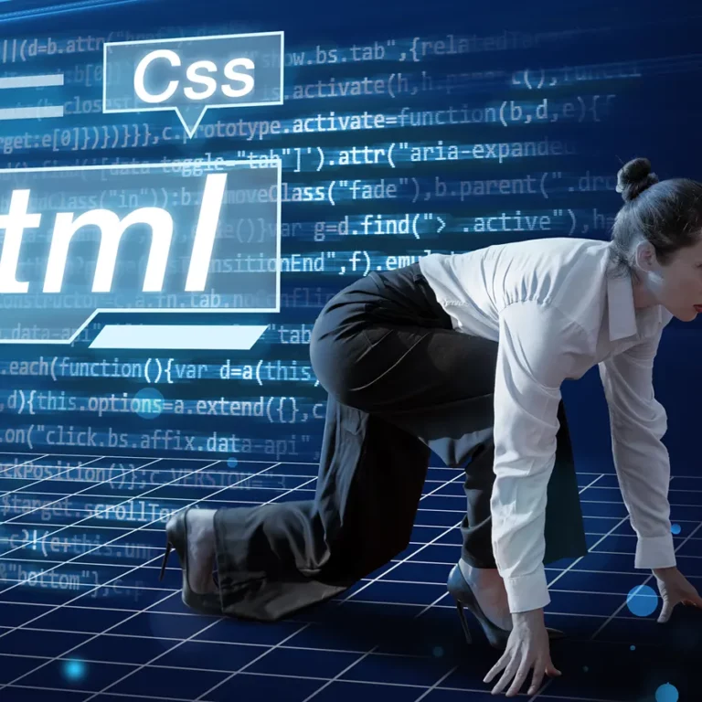 Net Publicidade Criação de Sites em Goiânia