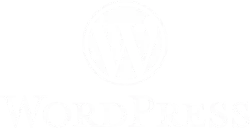Criação de Sites em São Gonçalo RJ e Loja Virtual 29 Net Publicidade Criação de Sites em Goiânia
